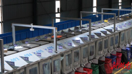 怀化：科技赋能应对“双十一”快递高峰