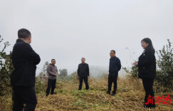 永顺县政协：领衔督办重点提案 持续提升民生福祉