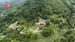 村里有个馆⑥丨青山绿水，守一颗红心——访炎陵青石冈红色文化博物馆