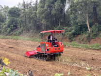 益阳笔架山乡：秸秆变沃土 田垄添新绿