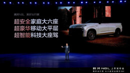 29.98万元起，腾势N8L“美好出行家”赢得广泛赞誉