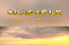 视频 | 木纹间的生命礼赞