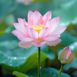 “廉谈+廉考+警示”三重发力 沅陵为干部系紧“风纪扣”