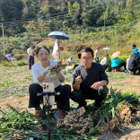 图片新闻｜通道：田间地头直播带货，助力山货出山