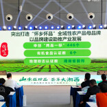 大湘西地区优质农产品推介会在长沙举行 怀化作专题推介并签约