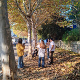 中方县梧桐路迎打卡热潮