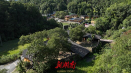 村里有个馆⑨丨深山小馆揭秘“东方魔法”