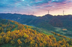 “大风车”转出乡村振兴新动能@湖南日报图片新闻