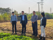 益阳南县明山头镇：筑牢“四维防控网”  守护田垄“生态蓝”