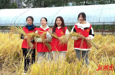 南华大学语言文学学院开展课外实践活动