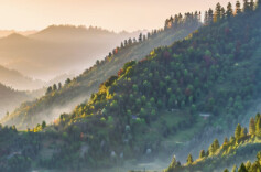 为中国1426亿棵树建“绿色账本”