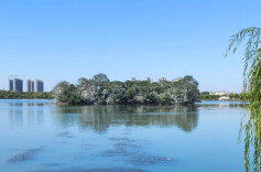 湿地文化：水与土交织出的文明记忆