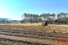 华容：绿色种养循环项目收官，节本增效超8200万元