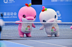 鳌鱼欢腾醒狮跃——十五运会赛场内外的岭南文化精气神