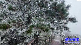 资兴：回龙山迎来今冬首场雾凇景观