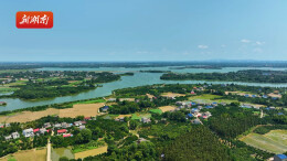 探馆·村里有个馆⑫丨开启洞庭湖“生态盲盒”，看遍1000+动植物标本