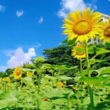 中东部气温回升陆续转为偏暖 南北方大部将持续晴朗干燥