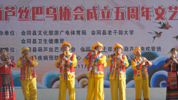 会同县葫芦丝巴乌协会举行成立五周年文艺汇演