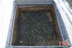 三星堆四号祭祀坑研究新成果：坑内燃烧残留物为异地埋藏