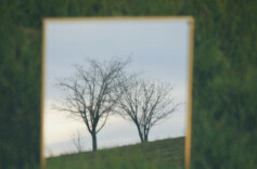 不求大而全，但求小而精