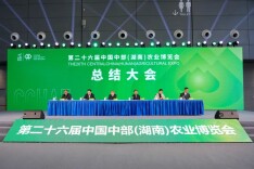 辛小湘 | 农博会里，藏着湖南的丰收与热望