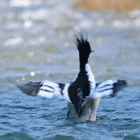 视频丨江华生态好不好？这些好朋友说了算！
