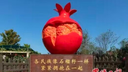 “籽籽同心” 共绘沅澧民族团结新画卷——常德民族工作“四个融合”构建互嵌式社会结构新格局