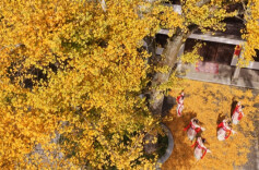 Amazing Early Winter Scenery at Hengshan Mountain