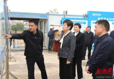 雷欣调研全区重大项目建设工作