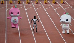 全运会丨“活力大湾鸡”，你暴露了一个“智造大湾区”