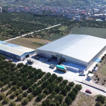 溆浦县：全产业链赋能 柑橘成乡村振兴“黄金果”