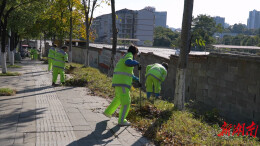 鹤玉公司：全员上阵美化城市环境 焕新城市颜值