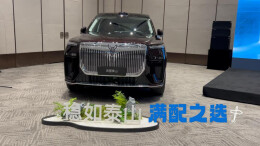 华系车“满配之选”岚图泰山长沙上市