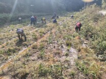 唐中秋——没有双手，却托起一片希望的田野