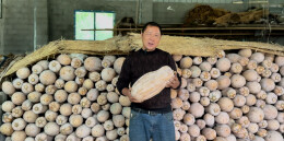 罗通望：一颗小南瓜，托起致富梦