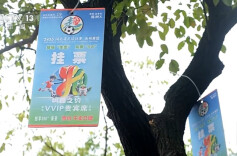 小城的“野生”球场比赛 为何能让全国网友追着看？