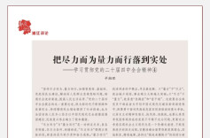 辛湘理：把尽力而为量力而行落到实处——学习贯彻党的二十届四中全会精神④