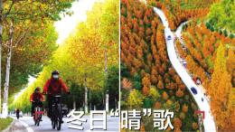 读报|11月24日《三湘都市报》版面速览