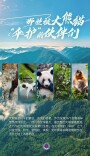 海报丨那些被大熊猫“伞护”的伙伴们