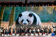 一组数据看大熊猫国家公园保护成效