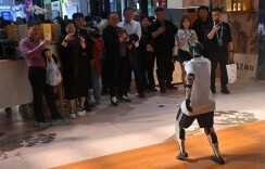 当林业遇上人工智能——2025年世界林木业大会观察