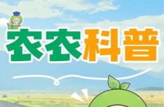 农农科普 | 后悔没早点知道！植物激素与植物生长调节剂的具体作用