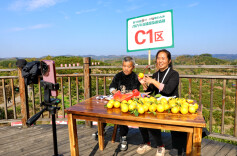 “悯农姑娘”龙四清——61岁，正是闯的年纪！