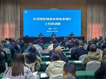 2025年全省国家储备林和林业碳汇工作培训班在长沙举办