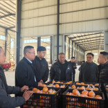 雨溆再携手，产销对接赋能乡村振兴