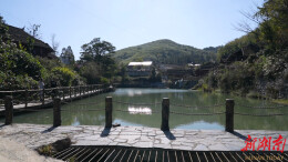 古村焕新颜 休闲打卡热  白马村滕家古村成市民新宠