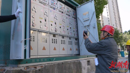 织密供电“安全网” 鹤城供电开展高压环网箱地毯式巡视