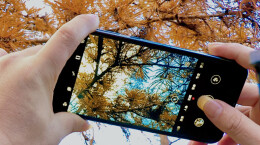 新宁：金色瑶乡 美不胜收