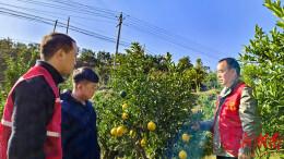 泸溪科技专家“接单”服务忙