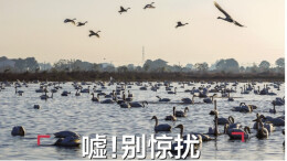 读报|11月27日《三湘都市报》版面速览